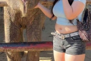 【画像】豊満ギャル「待って、動物園行ったらゾウ🐘より足太かったんだけどw」のサムネイル